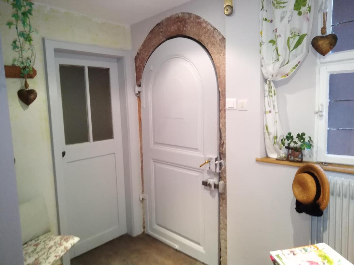 Le Baudinot Apartman Sélestat Kültér fotó